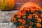 Pumpkins rustic hay decoration outdoors with autumn flowers. Stylish autumn decor of exterior building. Rural decor on