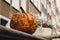Pumpkins rustic hay decoration outdoors. Stylish autumn decor of exterior building. Rural decor on haystack in street