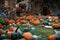 Pumpkins for sale. American farm and barns at autumn in Illinois.