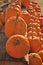 Pumpkins For Sale At Country Store