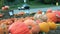 Pumpkins for sale on display at a roadside farmer market.