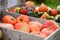 Pumpkins for sale on a farm in Upper Austria, Austria, Europe