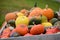 Pumpkins for sale on a farm in Upper Austria, Austria, Europe