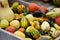 Pumpkins for sale on a farm in Upper Austria, Austria, Europe