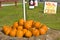 Pumpkins For Sale Outdoors