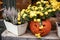 Pumpkins with scary faces and flowers in city street, holiday decoration of garden and buildings. Halloween street decor. Space