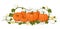 Pumpkins. Set orange vegetable pumpkins. Isolated vegetable, leaves, flower. Template   invitations, congratulations, happy Thank