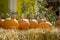 Pumpkins sitting on hay bales