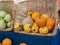 Pumpkins of small sizes sitting in basket next at market next to produce