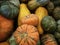 Pumpkins and squash awaiting their Halloween fate