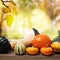 Pumpkins and squashes with a shinning fall background