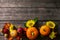 Pumpkins, sunflowers, apples and fallen leaves. Top view flat lay. Copy space