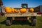 Pumpkins on a tractor bed