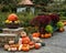 Pumpkins of various colors and shapes with vegetation and a green bench at the Dallas Arboretum in Texas.