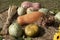 Pumpkins and wheat sheaf