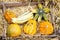 Pumpkins in a wooden