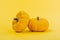 Pumpkins on a yellow background