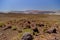 Puna landscape near Salar de Antofalla, Argentina