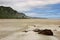 Punakaiki beach, West Coast, South Island, New Zealand