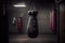 punching bag, with pair of boxing gloves hanging from it, in gym or fitness studio setting