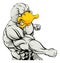 Punching duck mascot