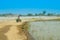 Punjab,Pakistan-June 23,2019:an unidentified man driving a moto rickshaw in a flood affected area