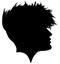 Punk, punk hairstyle for a woman. Iroquois haircut on a woman profile picture vector illustration realistic silhouette