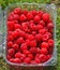 Punnet of raspberries