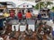 Punta Aroya, Galapagos, Ecuador - 2019-06-19 - Pelicans line up for extra fish as small sidewalk fish market