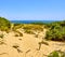 Punta Paloma beach. Tarifa, Cadiz, Andalusia, Spain