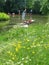 Punting on the river