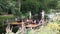 Punting on the river Stour in the centre of Canterbury, Kent, England