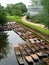 Punts on the river