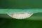 Pupa of leek moth or onion leaf miner Acrolepiopsis assectella family Acrolepiidae. It is Invasive species a pest of leek