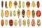 Pupae of insects