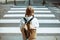 Pupil crossing crosswalk and going to school outdoors in city