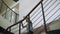 Pupil walking downstairs inspecting school hall. Boy standing stairway.