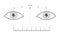 Pupillary distance measurement template with rule Eye frame glasses fashion accessory medical illustration. Optical