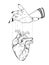 Puppet masters hand controls human heart isolated. Sticker, print or blackwork tattoo hand drawn vector illustration