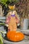 Puppet and Pumpkin Decoration in Autumn