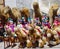 Puppet riders in turbans on a plush camel