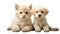 puppies canine kittens isolated a background purebred advertising