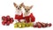 Puppies chihuahua and christmas