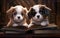 Puppies on a library bookshelf back to school theme