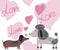 Puppies love background - valentines concept
