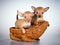 Puppies Russian toy terrier