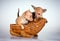 Puppies Russian toy terrier