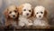 Puppies sitting in a basket. cute adorable pets puppies. Animal care. Love and friendship