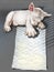 Puppies sleeping hand drawn and clipping paths
