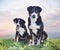 puppy and adult Appenzeller Sennenhund